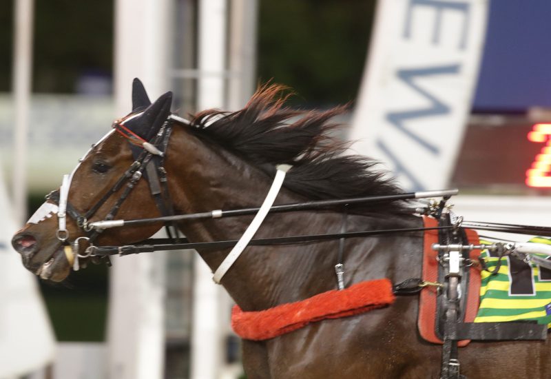 Sundees Son maintains dominance