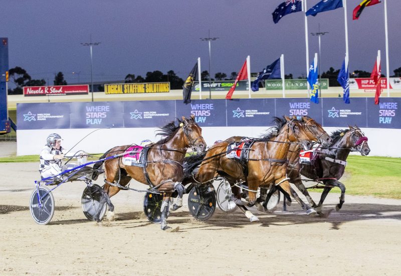 A Night to Remember for Alabar Stallions!