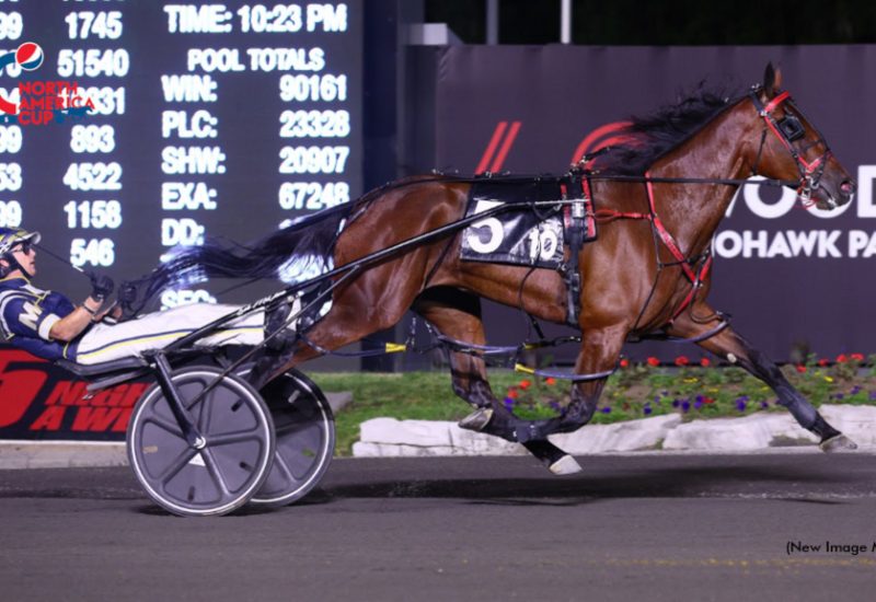 Two dominant wins for Always B Miki