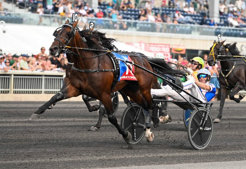 THE TACTICS TO WINNING THE HAMBLETONIAN