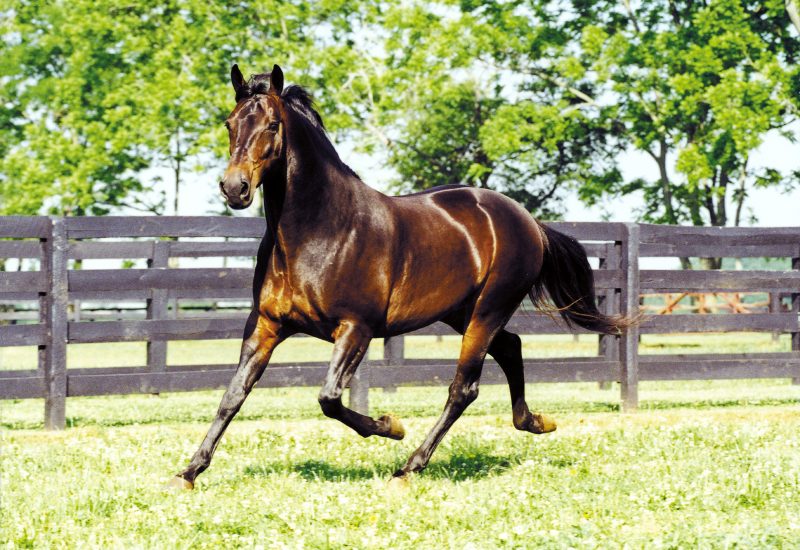 Passing of Presidential Ball