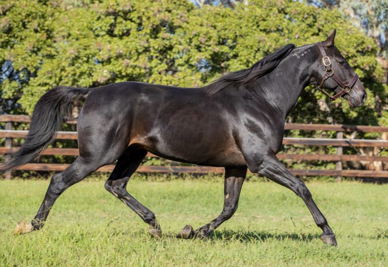 The Storm Inside is off the mark