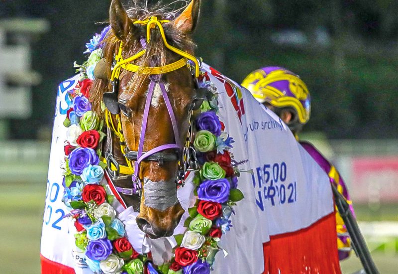 Tricky Miki wins Golden Slipper