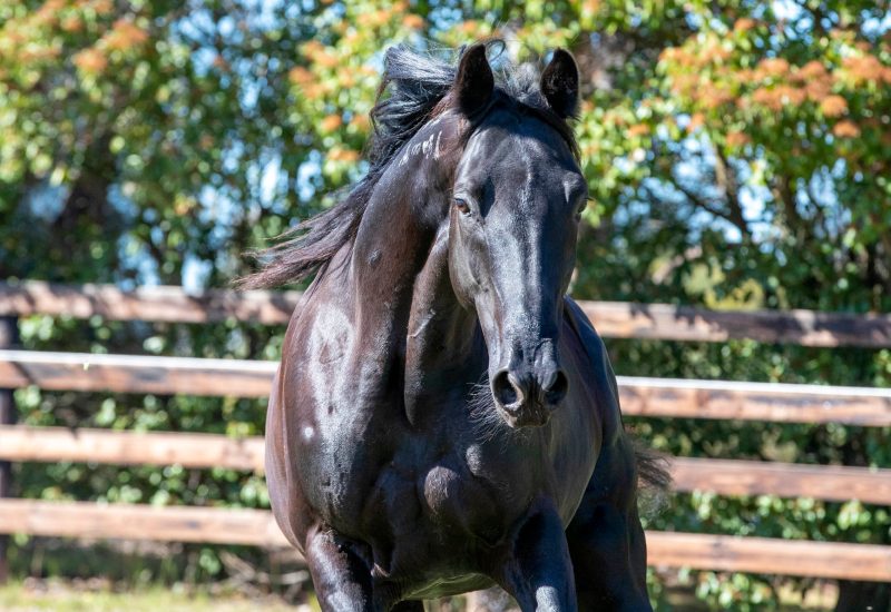 Ultimate Sniper on the board!