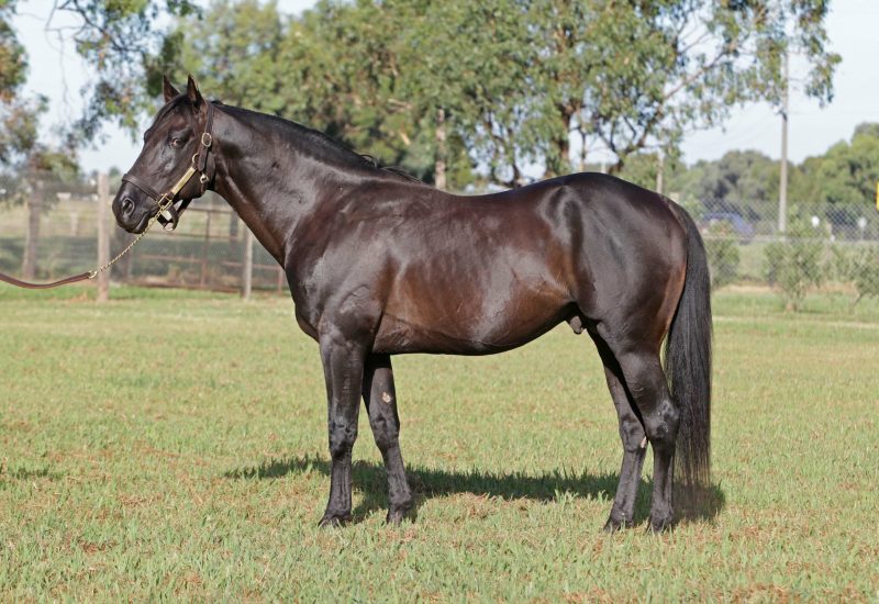 Village Jasper – you were perfect in every way