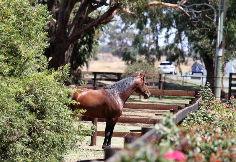 A weekend of winners for Vincent