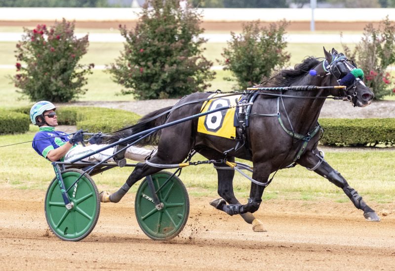 Son of Bettor’s Wish wins $400,000 final