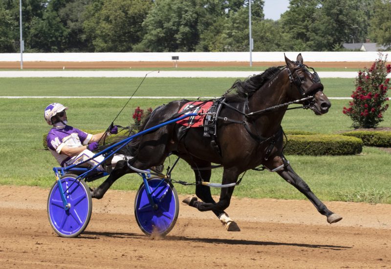 Big weekend for Always B Miki